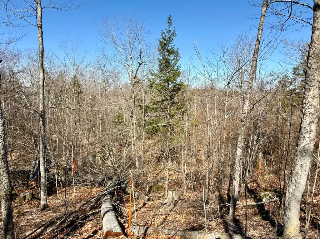 MAP8LOT53B Buckfield Road Paris ME 04271