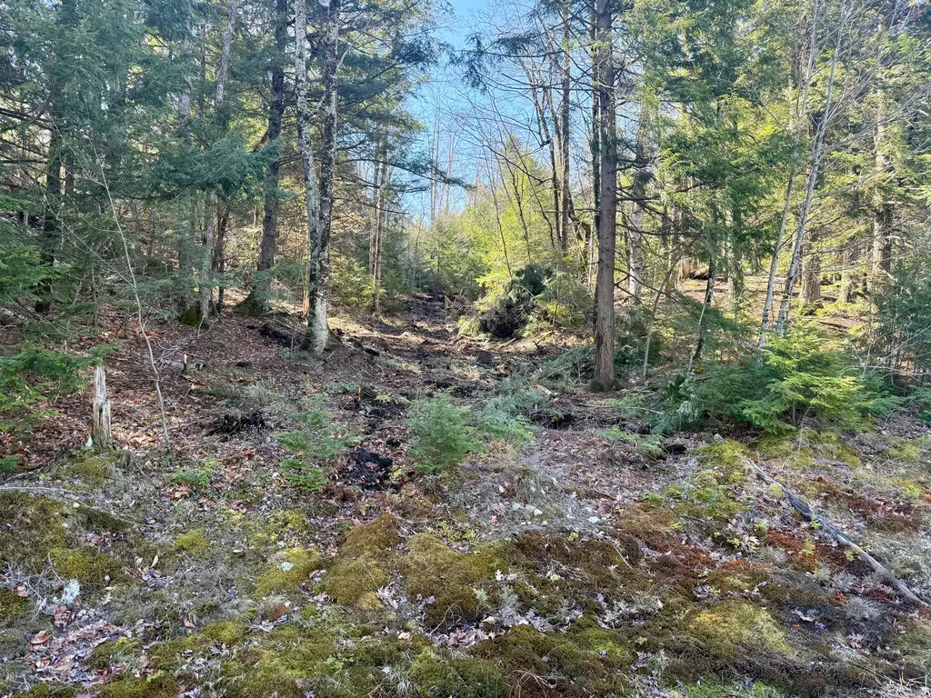 MAP8LOT53B Buckfield Road Paris ME 04271