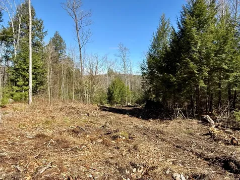 MAP8LOT53B Buckfield Road Paris ME 04271