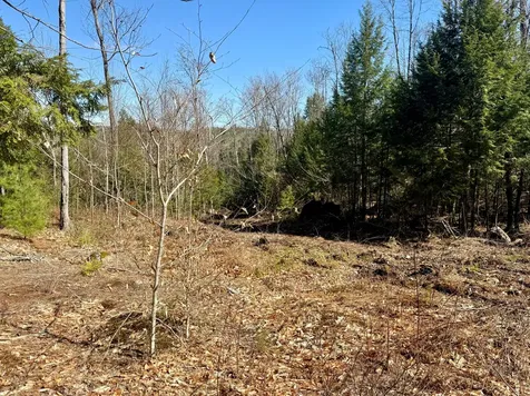 MAP8LOT53B Buckfield Road Paris ME 04271