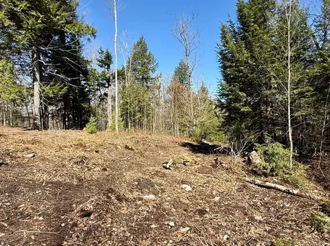 MAP8LOT53B Buckfield Road Paris ME 04271