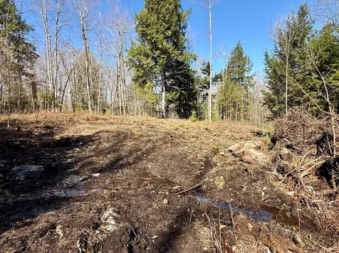 MAP8LOT53B Buckfield Road Paris ME 04271