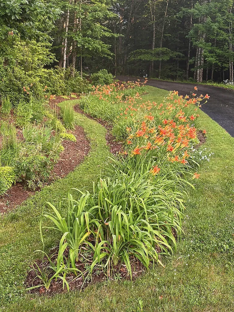 559 Sandy River Road Fayette ME 04349