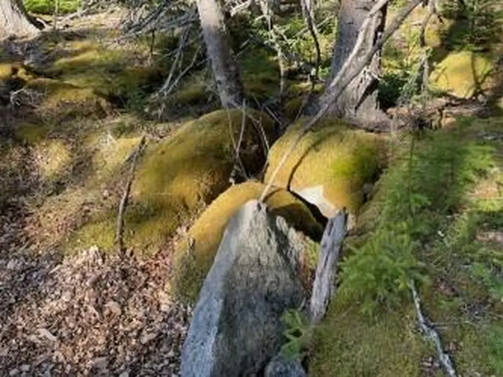 9 Rockledge Road South Thomaston ME 04858