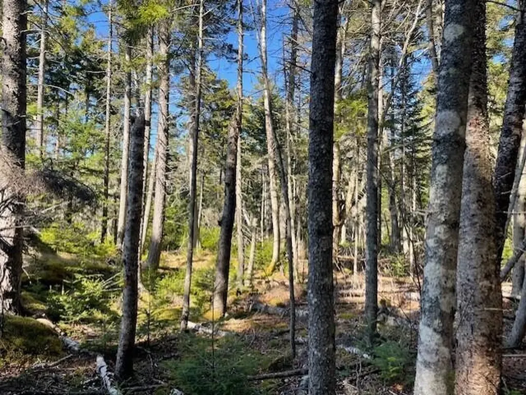 9 Rockledge Road South Thomaston ME 04858