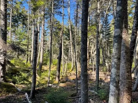 9 Rockledge Road South Thomaston ME 04858