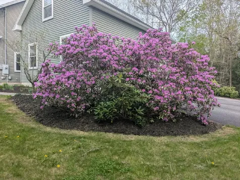 61 Rawley Drive Hampden ME 04444