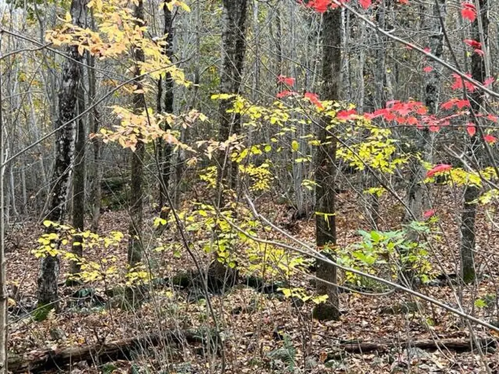 00 Swanville Road Frankfort ME 04438