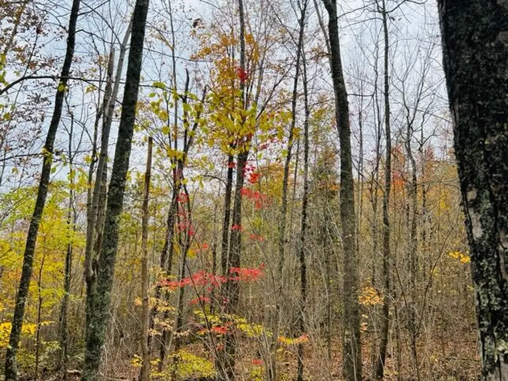 00 Swanville Road Frankfort ME 04438