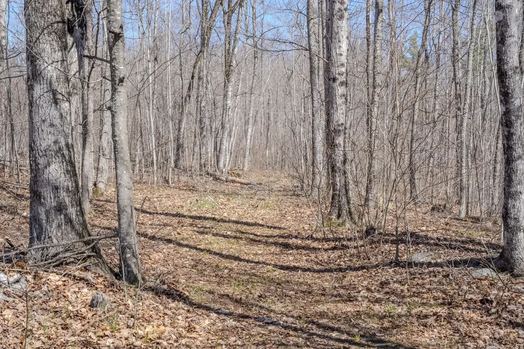 59 Palmer Road Skowhegan ME 04976
