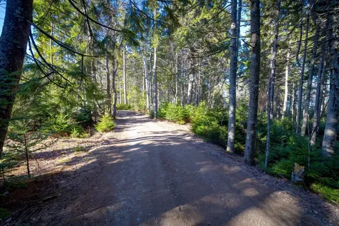 Lot 17 Wilderness Shore Road S Steuben ME 04680