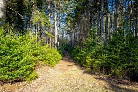 Lot 17 Wilderness Shore Road S Steuben ME 04680
