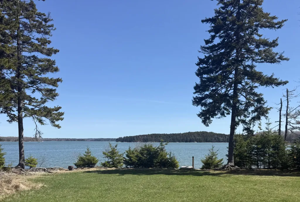 67 Birch Point Milbridge ME 04658