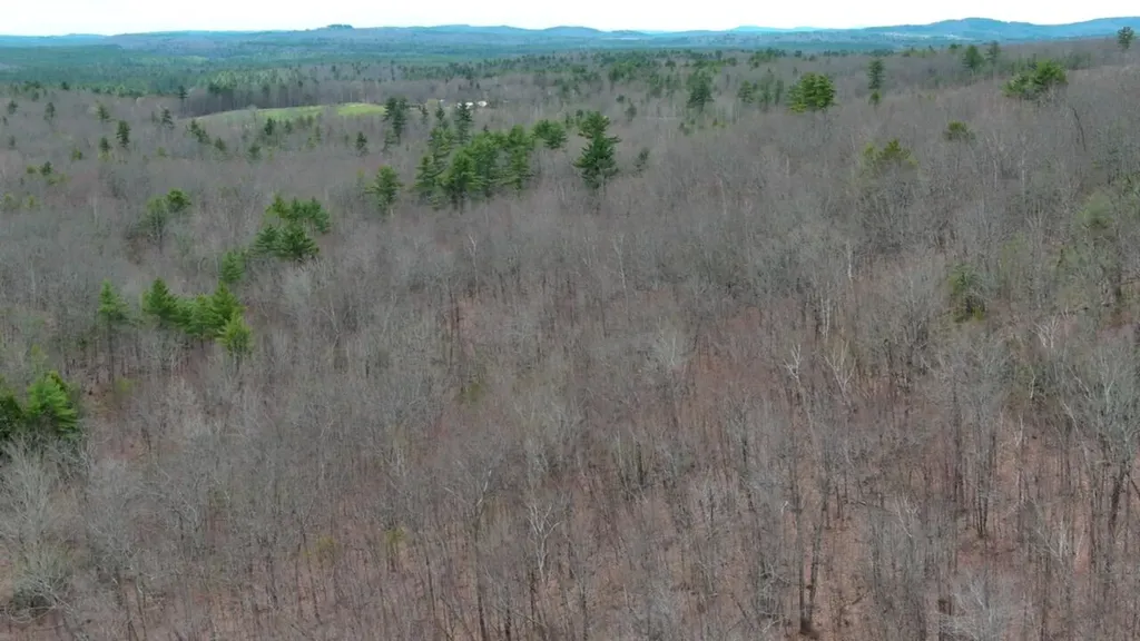 75 Bond Spring Road Newfield ME 04095