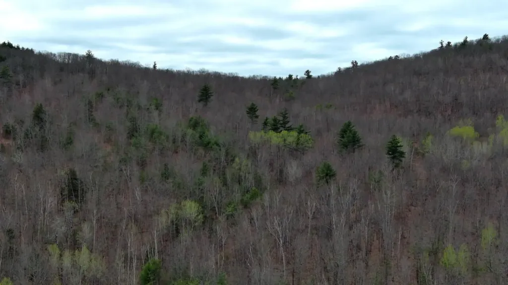 75 Bond Spring Road Newfield ME 04095