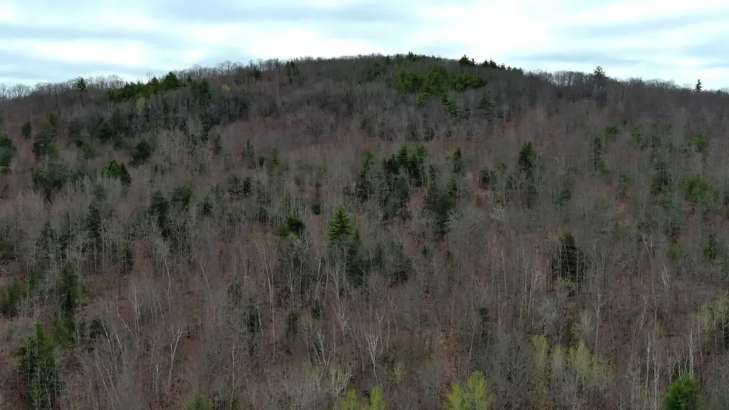 75 Bond Spring Road Newfield ME 04095