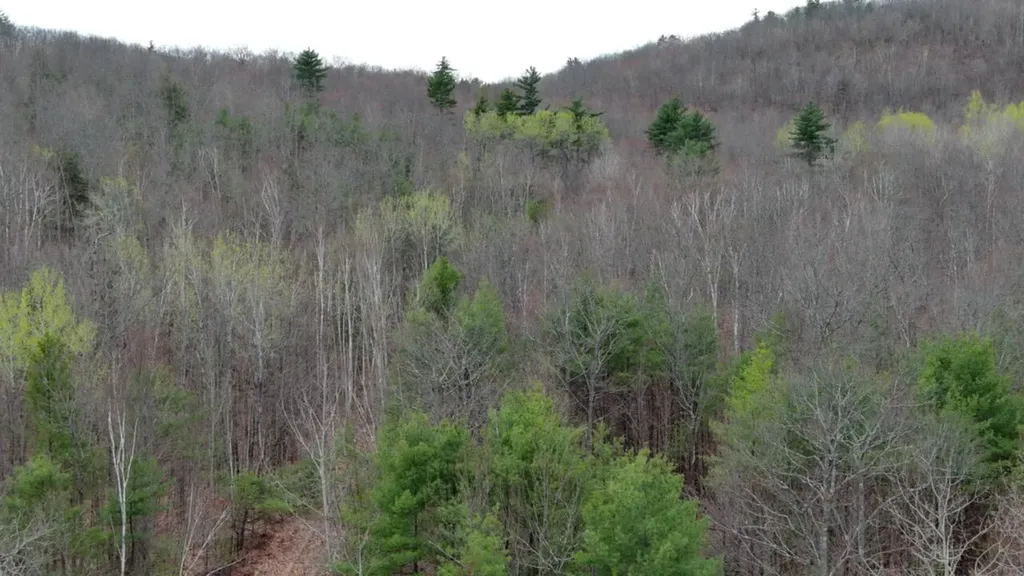 75 Bond Spring Road Newfield ME 04095