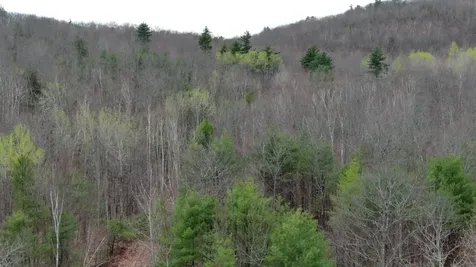 75 Bond Spring Road Newfield ME 04095