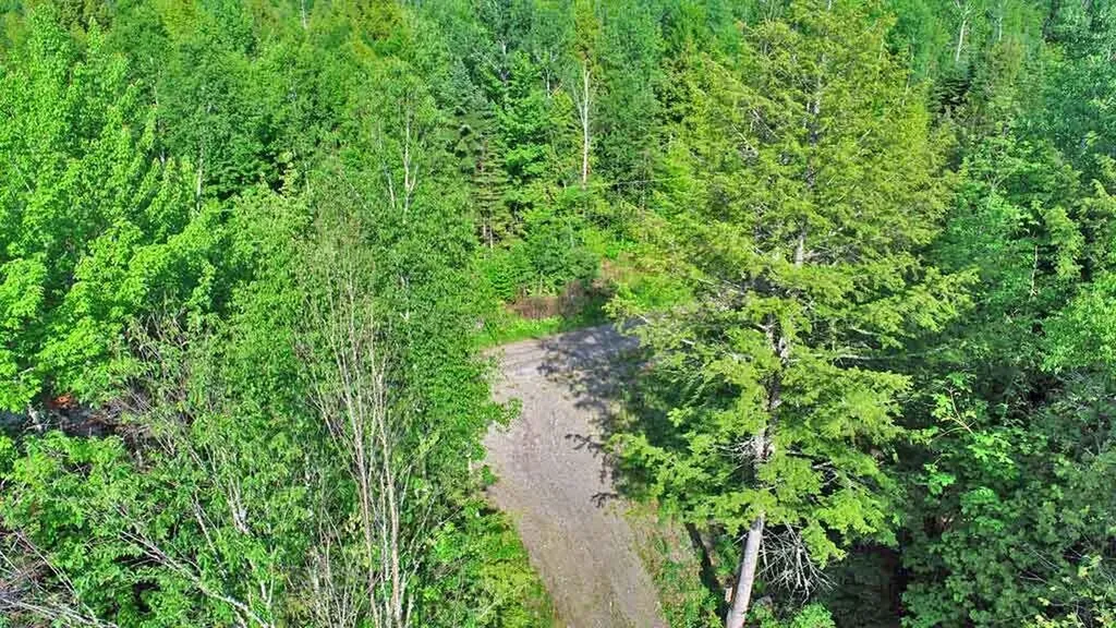 40 Woodland Ridge Road Danforth ME 04424
