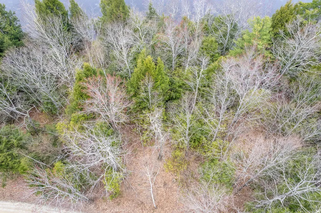 Lot 9 Wentworth Cove West Gardiner ME 04345