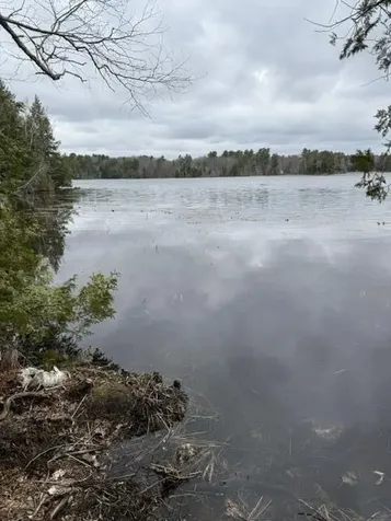 Lot 9 Wentworth Cove West Gardiner ME 04345