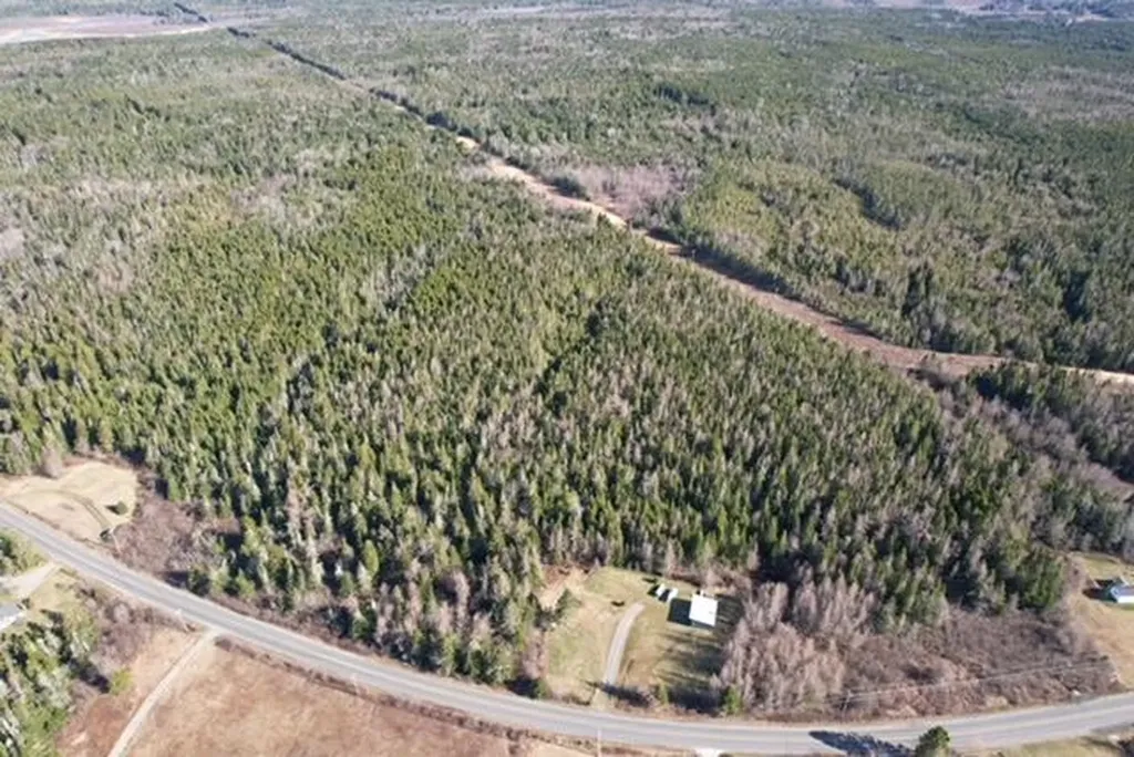 Lot 29d Cutler Road Whiting ME 04691