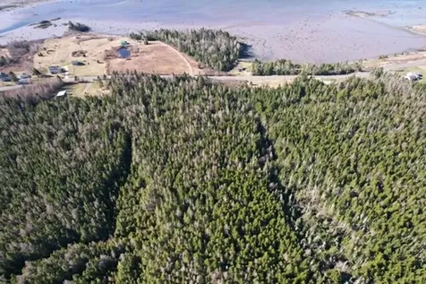 Lot 29d Cutler Road Whiting ME 04691