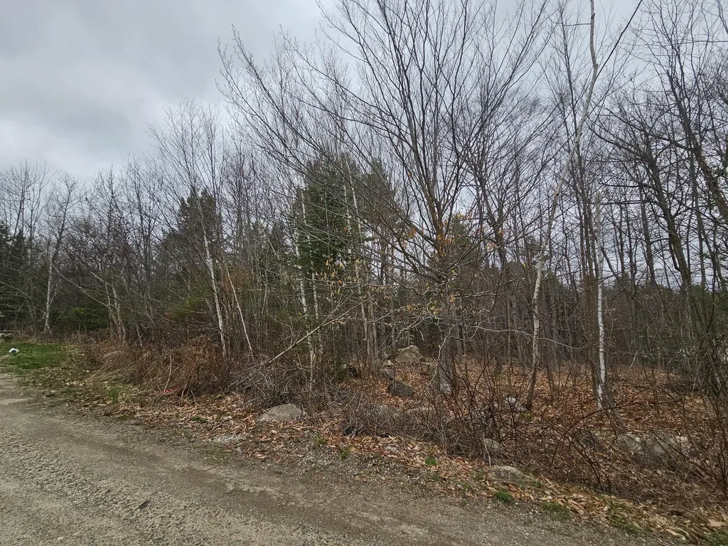 39 Salinitas Drive Norway ME 04268