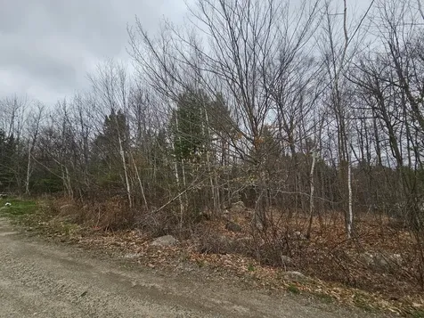 39 Salinitas Drive Norway ME 04268