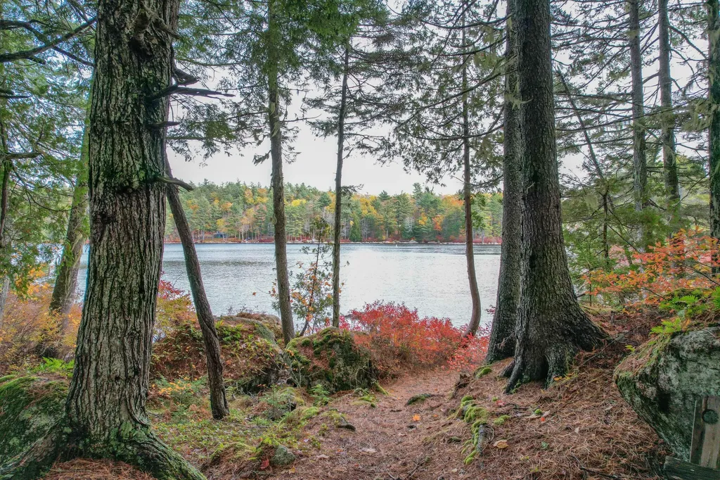 155 Long Point Way Orland ME 04472