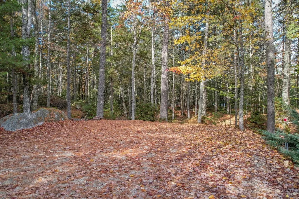 155 Long Point Way Orland ME 04472