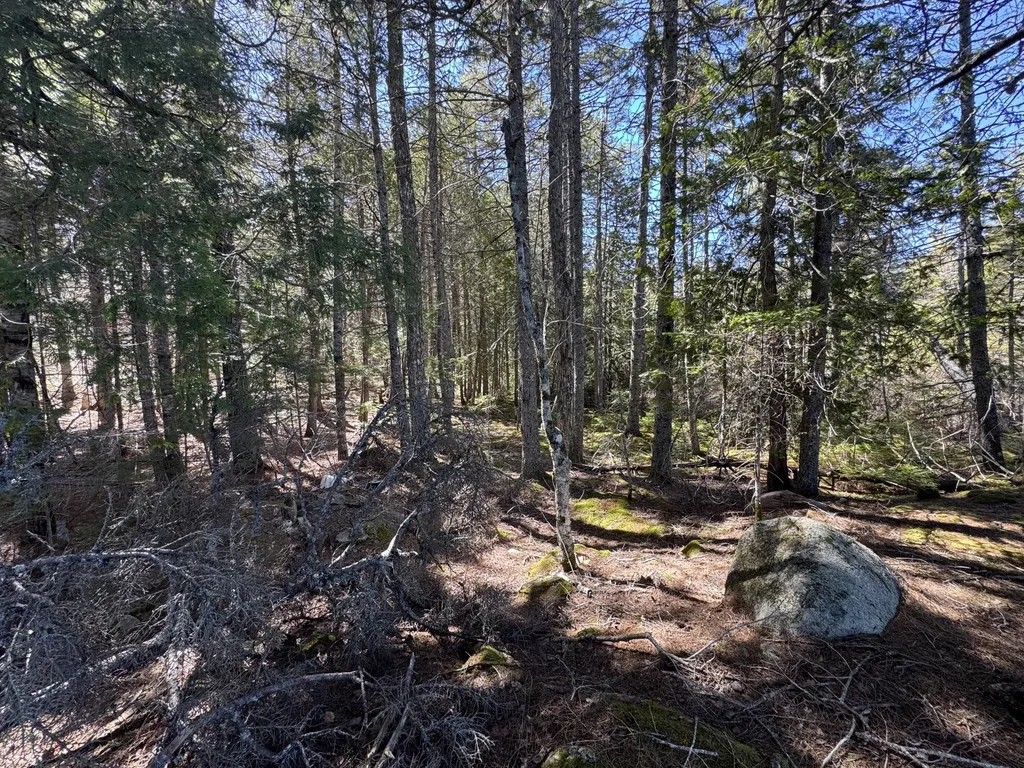 Lot 117n Long Lake Road Wesley ME 04686