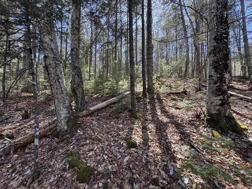 Lot 117n Long Lake Road Wesley ME 04686