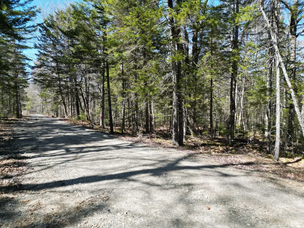 Lot 117n Long Lake Road Wesley ME 04686