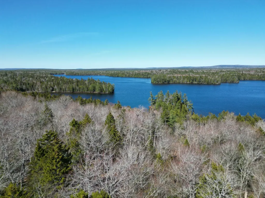 Lot 117n Long Lake Road Wesley ME 04686