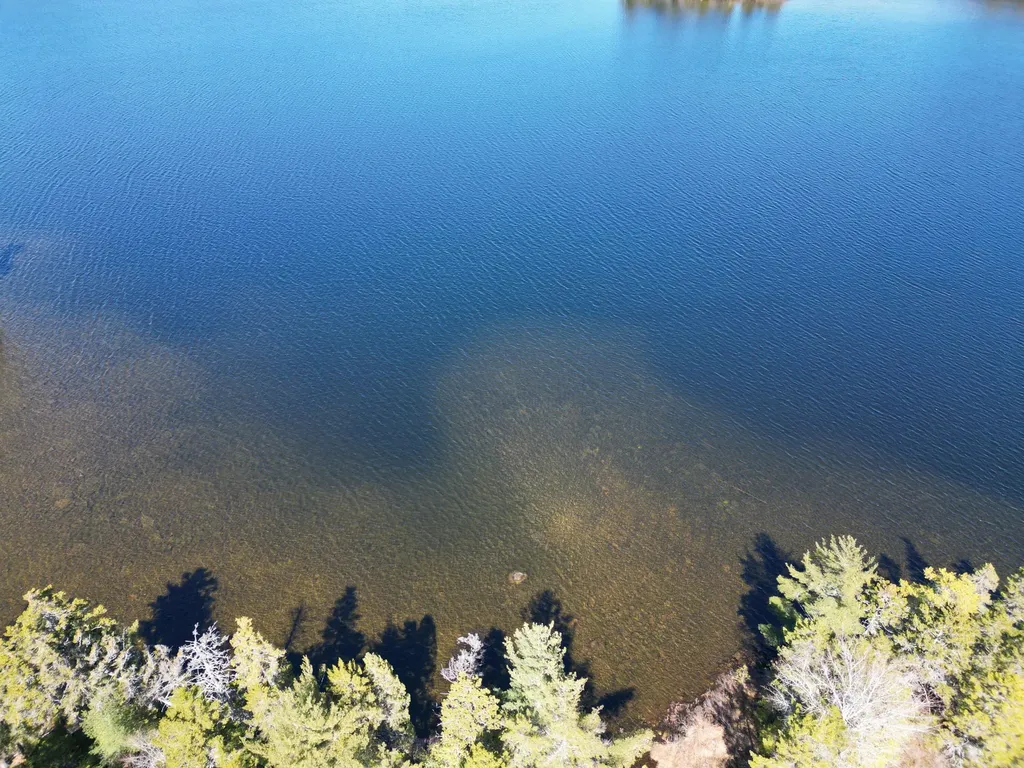 Lot 117n Long Lake Road Wesley ME 04686