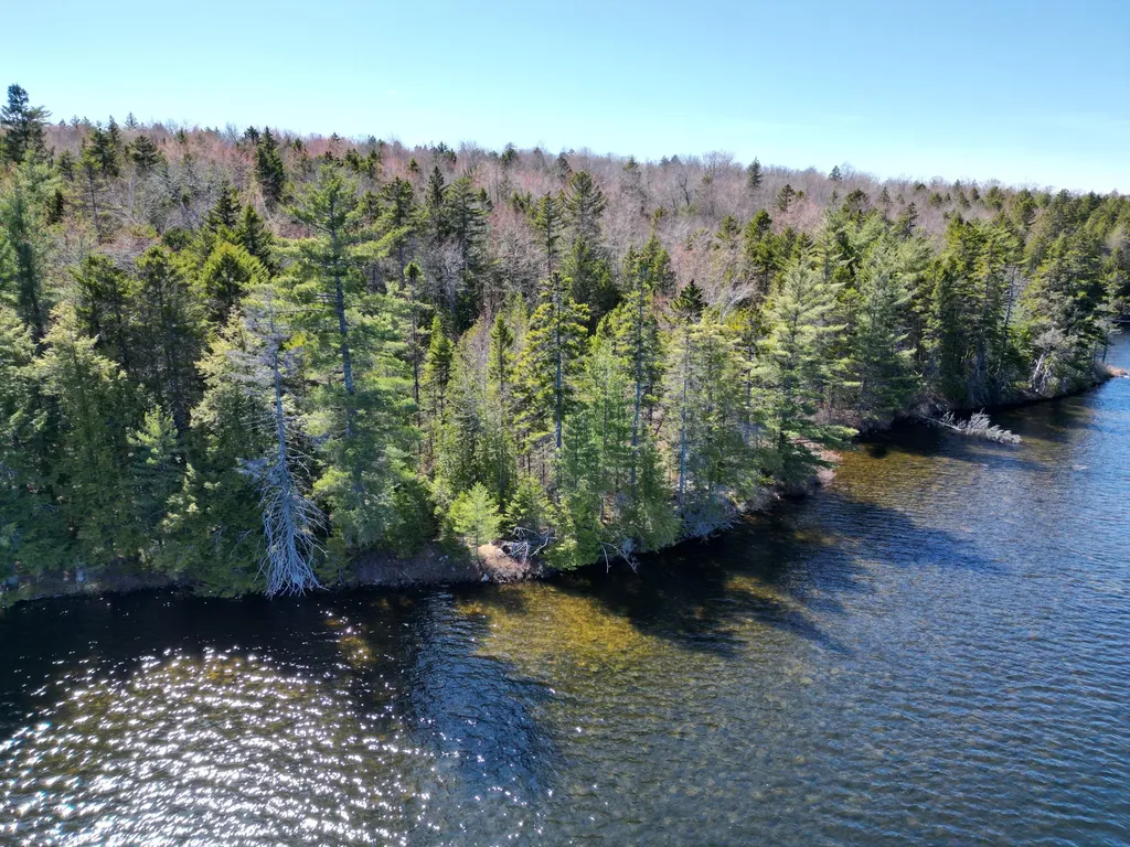 Lot 117n Long Lake Road Wesley ME 04686