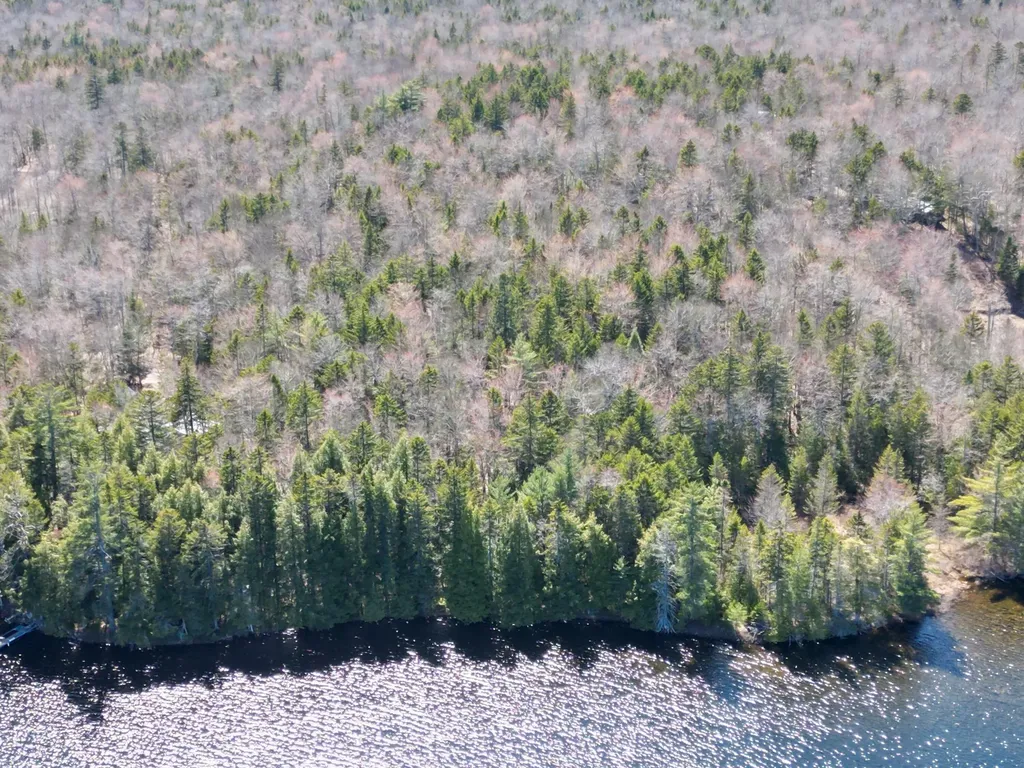 Lot 117n Long Lake Road Wesley ME 04686