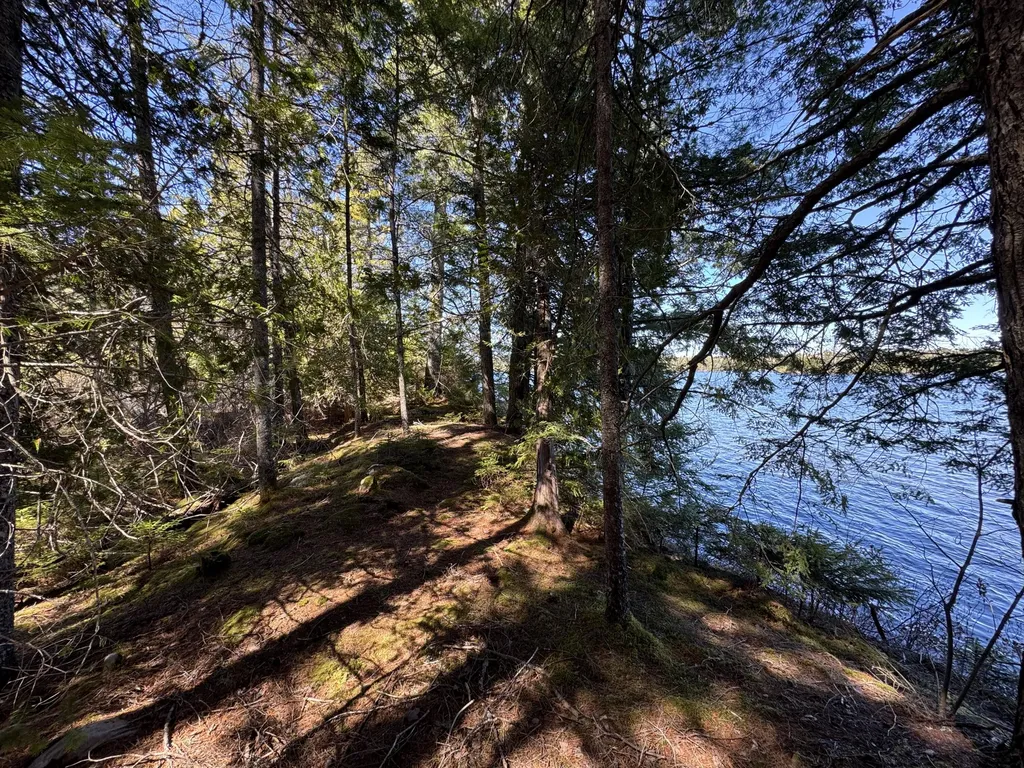 Lot 117n Long Lake Road Wesley ME 04686