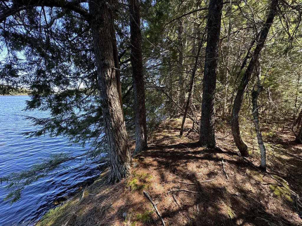 Lot 117n Long Lake Road Wesley ME 04686