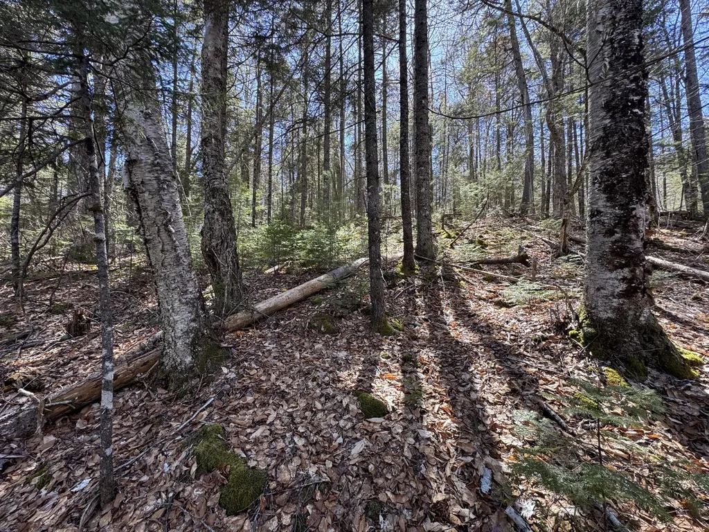Lot 117n Long Lake Road Wesley ME 04686