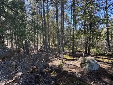 Lot 117n Long Lake Road Wesley ME 04686