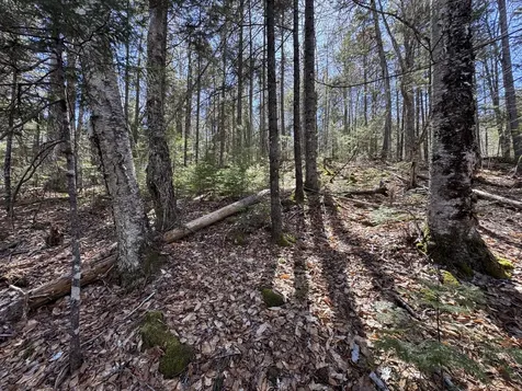 Lot 117n Long Lake Road Wesley ME 04686