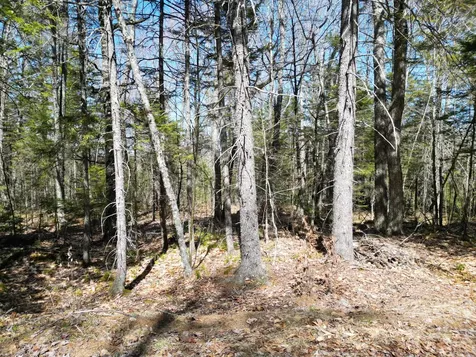 Lot 117n Long Lake Road Wesley ME 04686