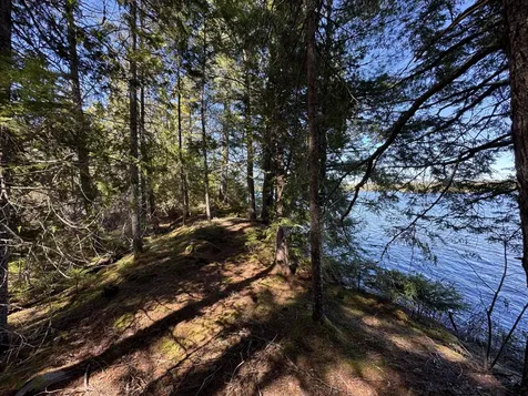 Lot 117N Long Lake Road Wesley ME 04686