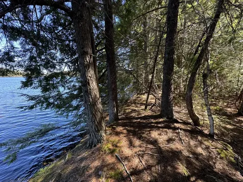 Lot 117n Long Lake Road Wesley ME 04686