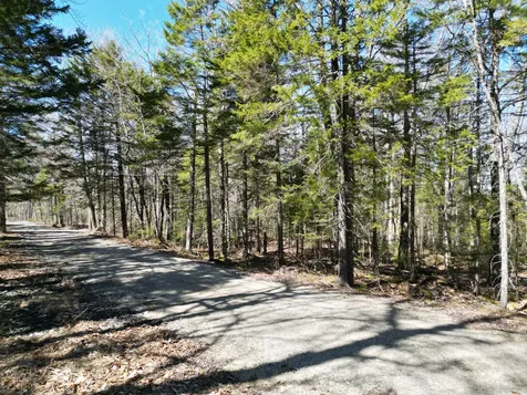 Lot 117n Long Lake Road Wesley ME 04686