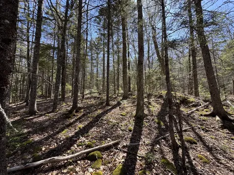 Lot 117n Long Lake Road Wesley ME 04686