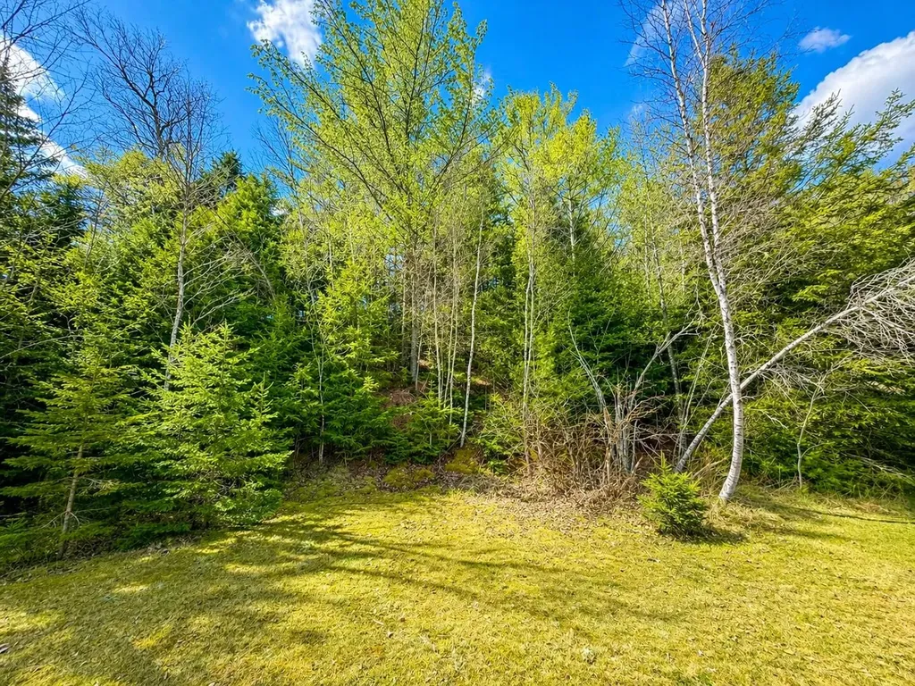 M1978L142D Love Lake Road Crawford ME 04694