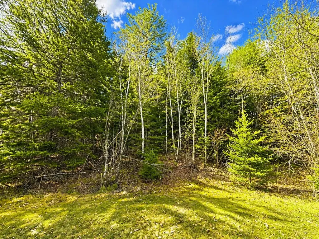 M1978L142D Love Lake Road Crawford ME 04694